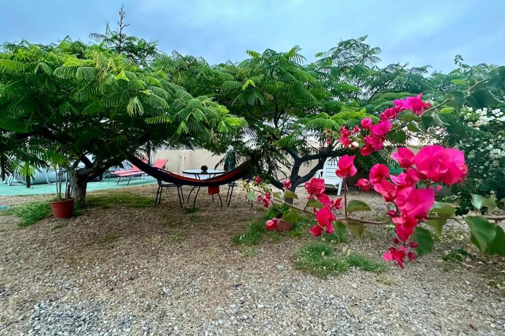 圣克鲁斯-德特内里费Peaceful Oasis With Magical Sea Views And A Pool别墅 外观 照片