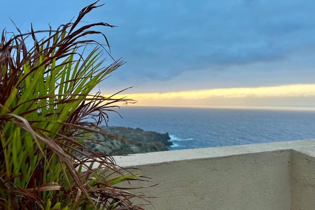 圣克鲁斯-德特内里费Peaceful Oasis With Magical Sea Views And A Pool别墅 外观 照片