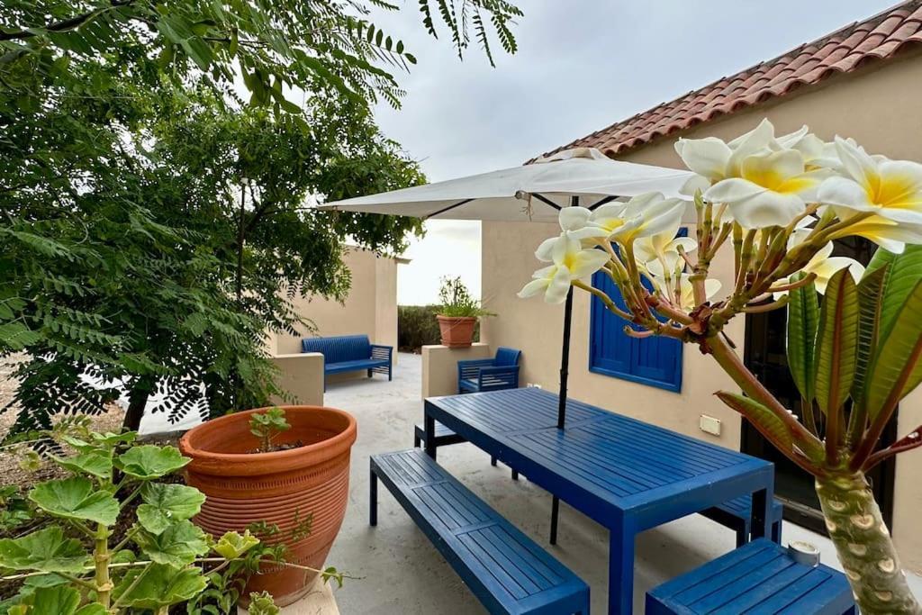 圣克鲁斯-德特内里费Peaceful Oasis With Magical Sea Views And A Pool别墅 外观 照片