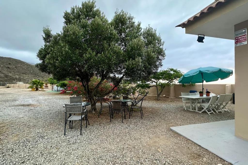 圣克鲁斯-德特内里费Peaceful Oasis With Magical Sea Views And A Pool别墅 外观 照片