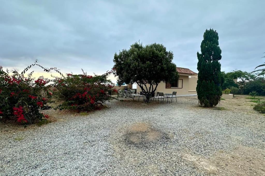 圣克鲁斯-德特内里费Peaceful Oasis With Magical Sea Views And A Pool别墅 外观 照片