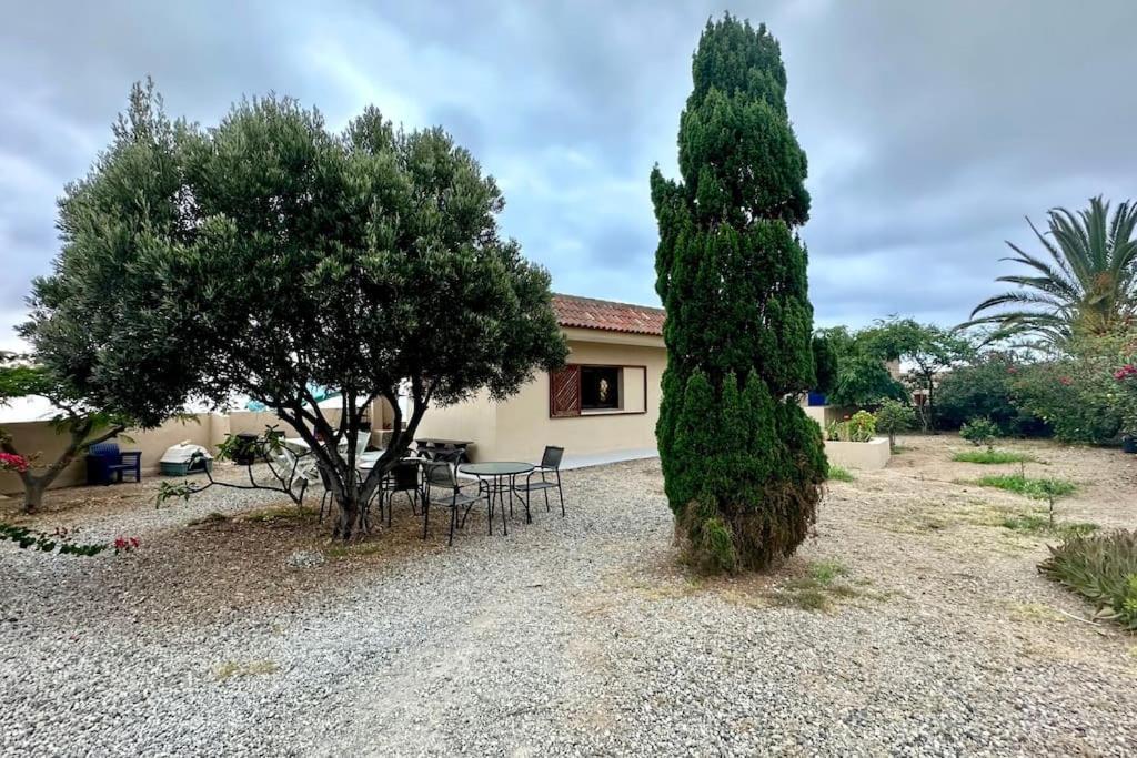 圣克鲁斯-德特内里费Peaceful Oasis With Magical Sea Views And A Pool别墅 外观 照片