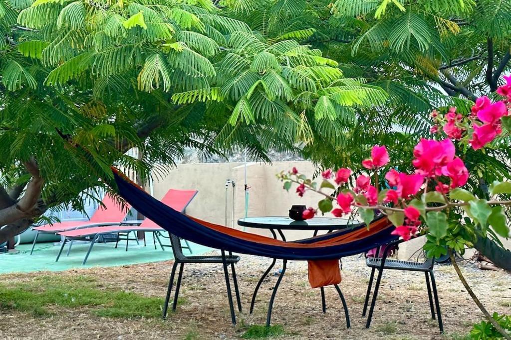 圣克鲁斯-德特内里费Peaceful Oasis With Magical Sea Views And A Pool别墅 外观 照片