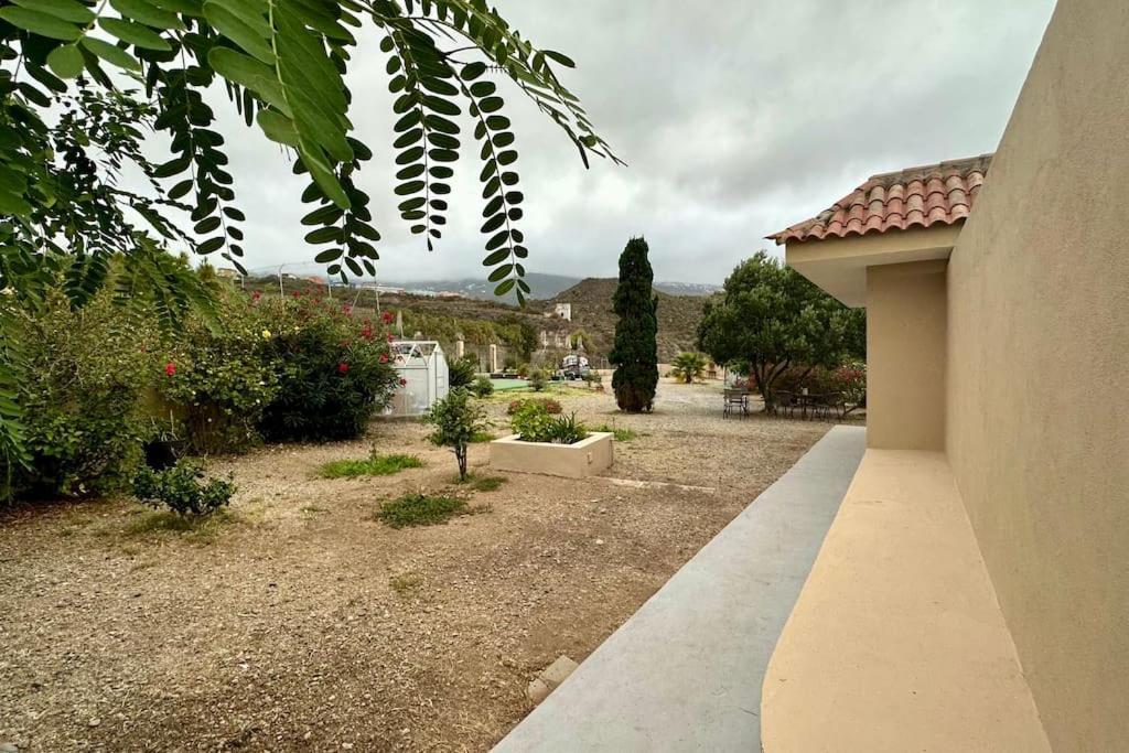 圣克鲁斯-德特内里费Peaceful Oasis With Magical Sea Views And A Pool别墅 外观 照片