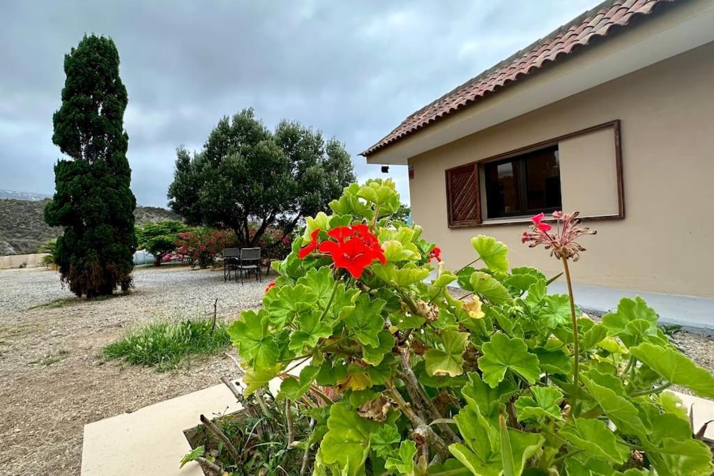 圣克鲁斯-德特内里费Peaceful Oasis With Magical Sea Views And A Pool别墅 外观 照片